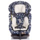 Scaun auto Chipolino Campo 0-36 kg dots beige cu sistem Isofix