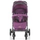 Carucior sport Chipolino Mixie orchid