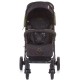 Carucior sport Chipolino Mixie carbon