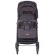 Carucior sport Chipolino Elea graphite linen