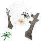 Joc Noris Spiderweb