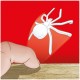Joc Noris Spiderweb