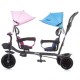 Tricicleta gemeni Chipolino Duet pink blue