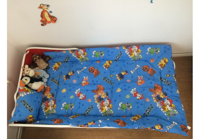 Perna si pilota paw patrol