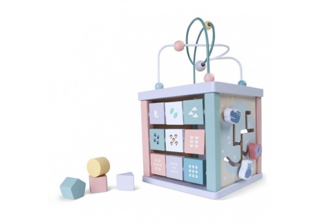 Cub educational din lemn Ecotoys 1021