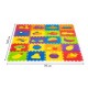 Salteluta educationala puzzle ECOEVA003 20 de elemente