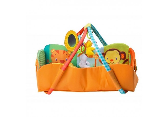 Salteluta educationala 8836 Ecotoys