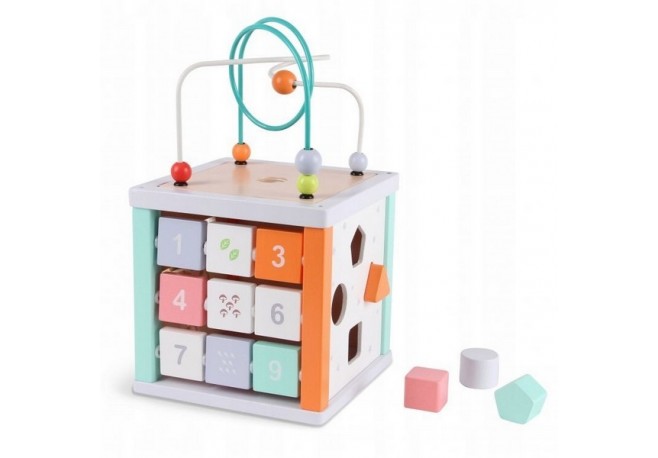 Cub educational din lemn Ecotoys 1031