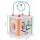 Cub educational din lemn Ecotoys 1031