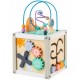 Cub educational din lemn ECOTOYS 1030