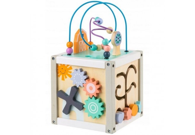 Cub educational din lemn ECOTOYS 1030
