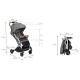 Carucior sport Kidwell Mavero Silver Brown