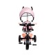 Tricicleta cu sezut reversibil Sun Baby 017 Fresh 360 - Pink