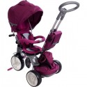 Tricicleta cu sezut reversibil Sun Baby 007 Little Tiger - Burgundy