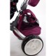 Tricicleta cu sezut reversibil Sun Baby 007 Little Tiger - Burgundy