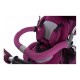 Tricicleta cu sezut reversibil Sun Baby 007 Little Tiger - Burgundy