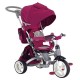 Tricicleta cu sezut reversibil Sun Baby 007 Little Tiger - Burgundy
