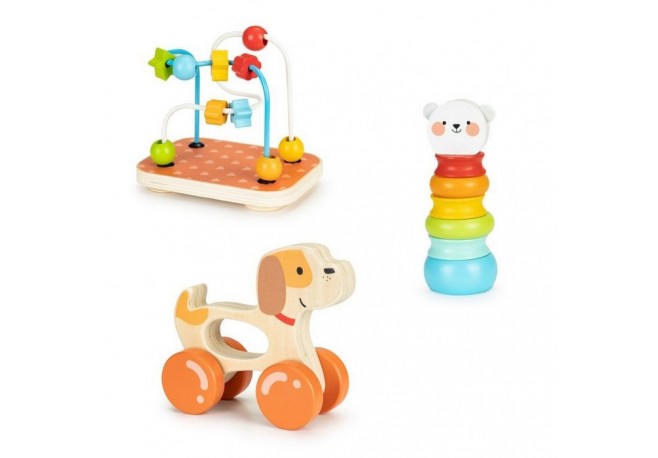 Jucarii educative din lemn Ecotoys 2203