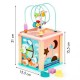 Cub educational din lemn Ecotoys Dino HM015471