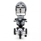 Tricicleta Ecotoys BW-212 - Gri