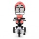 Tricicleta Ecotoys BW-212 - Roz