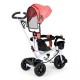 Tricicleta Ecotoys BW-212 - Roz