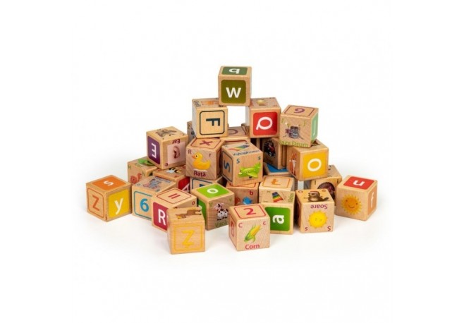 Cuburi educationale din lemn cu litere cifre si imagini Ecotoys HM014520