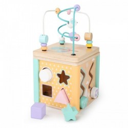 Cub educational din lemn cu labirint si sortator Ecotoys HM015472
