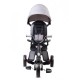 Tricicleta Pliabila Sun Baby Nova 016 Qplay Rito - Gray