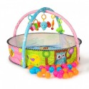 Salteluta de joaca cu 30 bile Ecotoys CC9600-2 - Multicolora
