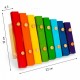 Xilofon pentru copii versiune cu 8 tonuri Ecotoys PH08C002