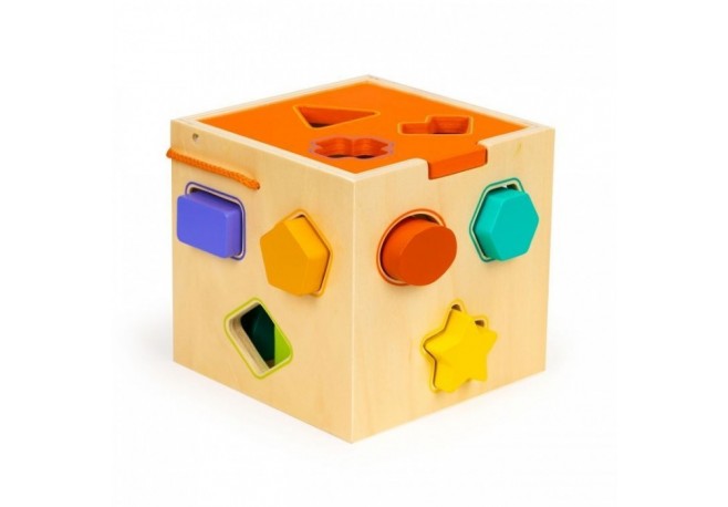 Cub educational cu blocuri din lemn si sortator Ecotoys PH05M015
