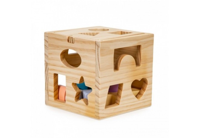 Cub educational cu 12 blocuri din lemn si sortator Ecotoys 2540