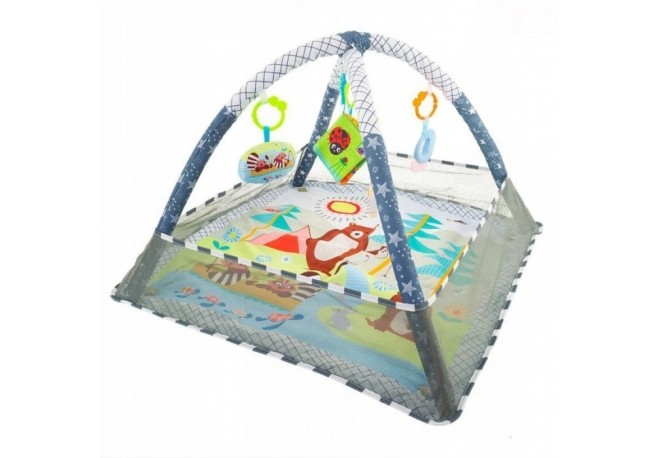 Salteluta de joaca pentru copii cu jucarii detasabile EURObaby CC9040