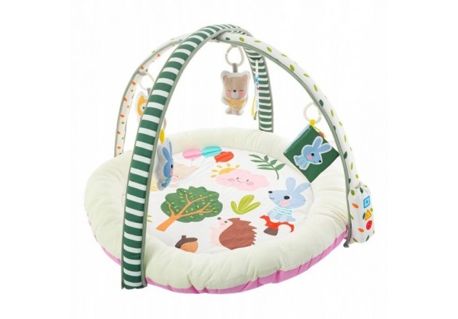 Salteluta de joaca pentru copii cu jucarii detasabile EURObaby CC8739