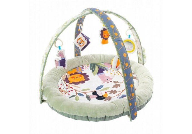 Salteluta de joaca pentru copii cu jucarii detasabile EURObaby CC8738