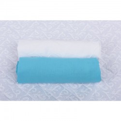 BabyNeeds - Set 2 cearceafuri cu elastic 140x70 cm Alb+Bleu
