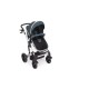 Carucior 2 in 1 Darling Green Silver