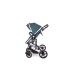 Carucior 2 in 1 Darling Green Silver