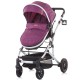 Carucior Chipolino Estelle 2 in 1 lilac