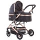 Carucior Chipolino Estelle 2 in 1 anthracite