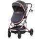 Carucior Chipolino Estelle 2 in 1 anthracite