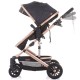 Carucior Chipolino Estelle 2 in 1 anthracite