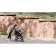Lionelo - Carucior sport Emma Plus Cu tavita 2 Suporturi pentru pahar Geanta accesorii Conform cu standardul european de securit