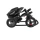 Lionelo - Tricicleta Tris Mecanism de pedalare libera Suport picioare Control al directiei Scaun reversibil Rotire 360 grade Pli