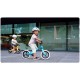 Lionelo - Bicicleta usoara Bart Fara pedale Cu cadru din magneziu Cu ghidon si sa reglabile Greutate 3 Kg 12 inch Conform cu sta