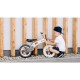 Lionelo - Bicicleta fara pedale Willy Bubblegum Cu tablita de scris Cu roti din spuma EVA 12 Alb/Roz