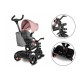 Lionelo - Tricicleta Haari Suport picioare Control al directiei Scaun reversibil Rotire 360 grade Pliabila Conform cu standardul