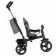 Lionelo - Tricicleta Haari Suport picioare Control al directiei Scaun reversibil Rotire 360 grade Pliabila Conform cu standardul