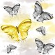 Qmini - Scutec refolosibil cu multiple intrebuintari Din fibra de bambus Dimensiune 75 x 75 cm Butterflies